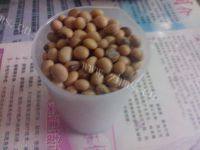 诱人的黄豆浆做法图解1)