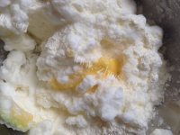 自制小熊蛋糕做法图解5)