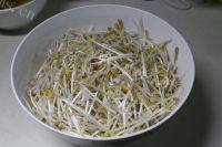 简单的酸辣绿豆芽做法图解1)