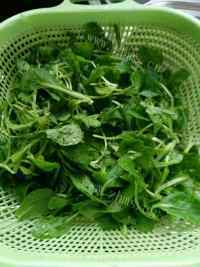 香菇青菜做法图解1)