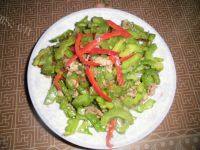 家常菜肉丝炒苦瓜