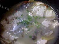 简易版-鲫鱼豆腐汤