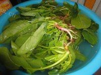 凉拌菠菜（简单版）做法图解1)