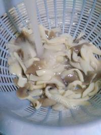 好吃的双椒肉片炒秀珍菇做法图解6)