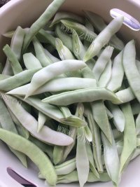 独特的豆角焖面做法图解1)