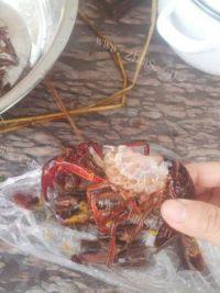 老爸做的麻辣小龙虾做法图解2)