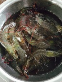 美味的白灼沙虾做法图解1)