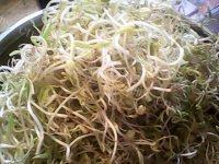 香醇的素炒豆芽做法图解1)