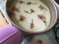 美味的樱花芝士蛋糕的做法图解二十五