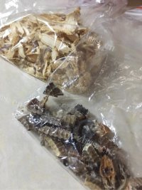 鲜美海马瘦肉汤做法图解1)