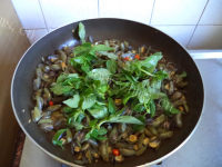 美味的九层塔炒薄壳