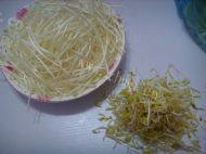 鲜嫩的凉拌豆芽做法图解1)