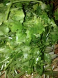 家常菜香菜炒肉丝做法图解2)