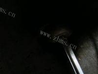 自制西兰花炒胡萝卜做法图解4)