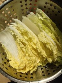 诱人的白菜肉卷做法图解6)