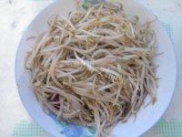 家常菜辣炒豆芽