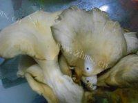 易做的蘑菇炒肉做法图解1)
