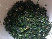 自己做的荠菜馄饨做法图解6)