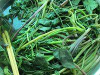 野菜大包子做法图解2)