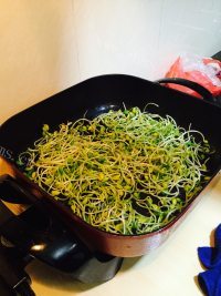美味的炒黄豆芽做法图解3)