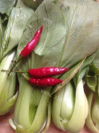 家常辣椒油菜做法图解1)