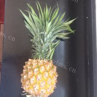 美味的菠萝八宝饭做法图解4)
