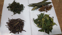 美味的止咳消炎药汤做法图解1)