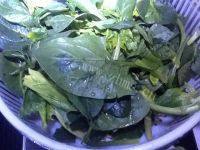 家常菜清炒菠菜做法图解2)