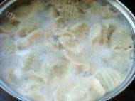 美味的韭菜水饺做法图解15)