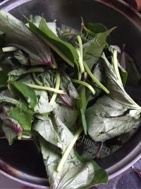 家常菜清炒红薯叶做法图解1)