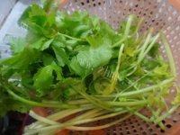 木耳炒芹菜自制做法图解2)