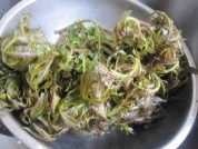 香椿芽拌豆腐做法图解1)