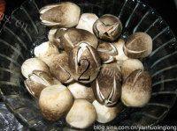 最爱的鲍汁草菇牛肉做法图解2)