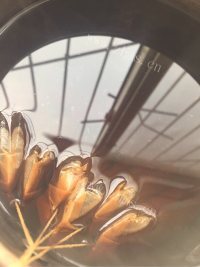 好喝的柠檬红茶做法图解1)