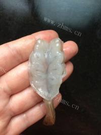 美味的蝴蝶虾做法图解5)