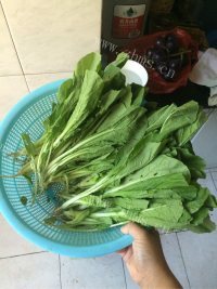 家常菜炒青菜做法图解1)