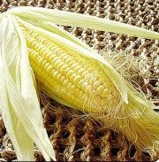 诱人的粟米马蹄珍珠丸子做法图解1)