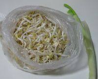 家常菜素炒绿豆芽做法图解1)