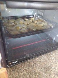 自己做的烤红薯片