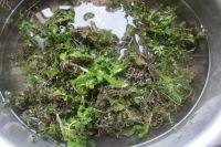 荠菜饺子做法图解3)