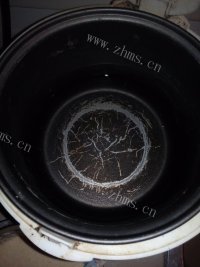 嫩滑的椰枣藕粉羹做法图解3)