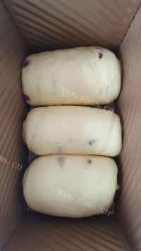 自制蔓越莓吐司做法图解10)