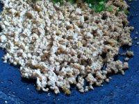 自制猪肉茴香饺子做法图解2)