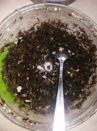 自己做的素饺子做法图解2)