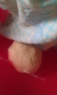 自己做的开封灌汤包做法图解3)
