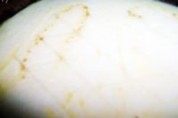 家常菜蒜香茄泥做法图解2)