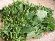 美味的上汤百花菜做法图解1)