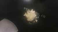 家常菜蚝油菜心做法图解2)