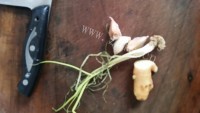 香糯美味芋香美脚做法图解2)