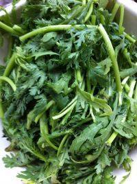 家常菜蒜蓉茼蒿做法图解1)